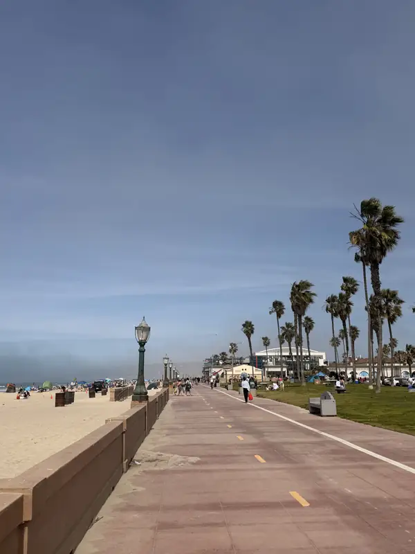 The boardwalk at Mission Beach, with palm trees along it.